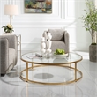 Uttermost Radius Contemporary Metal/Glass Coffee Table in Gold/Clear