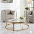 Uttermost Radius Contemporary Metal/Glass Coffee Table in Gold/Clear