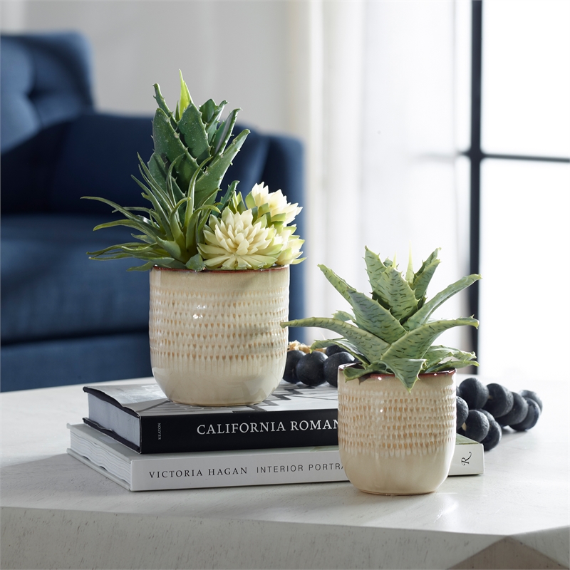 Uttermost Seaside Succulents Coastal Ceramic Flower Pot in Tan (Set of 2)