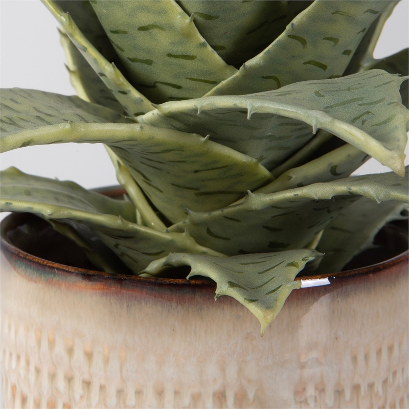 Uttermost Seaside Succulents Coastal Ceramic Flower Pot in Tan (Set of 2)