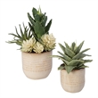 Uttermost Seaside Succulents Coastal Ceramic Flower Pot in Tan (Set of 2)