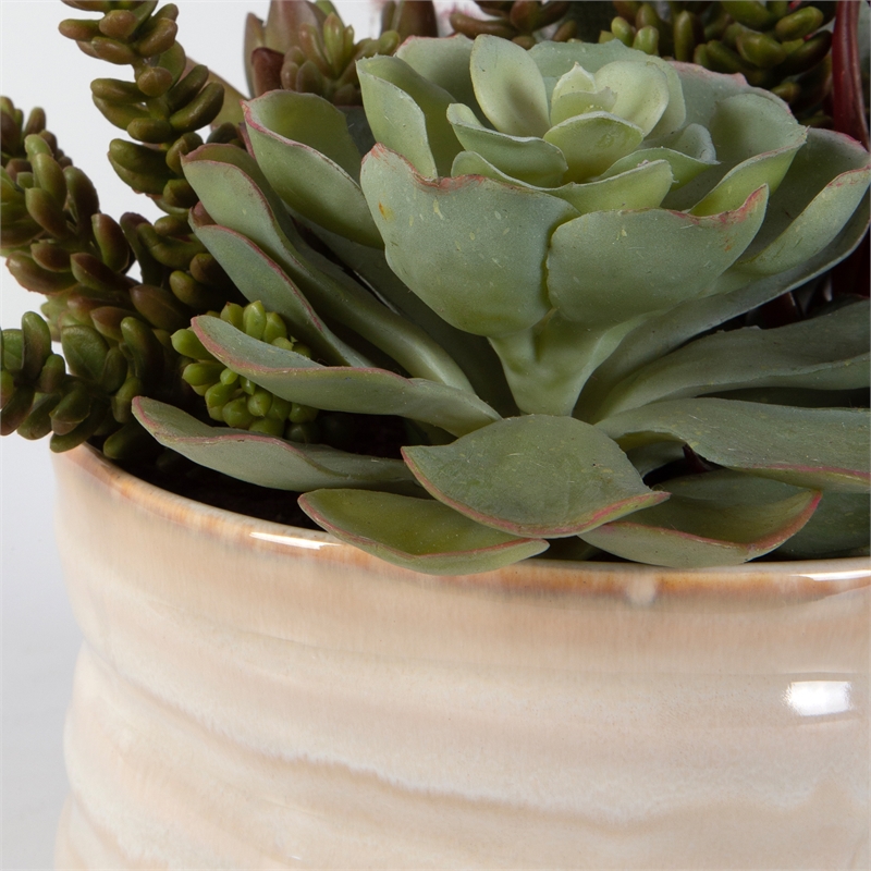 Uttermost Mesa Succulent Contemporary Ceramic Flower Pot in Tan/Green