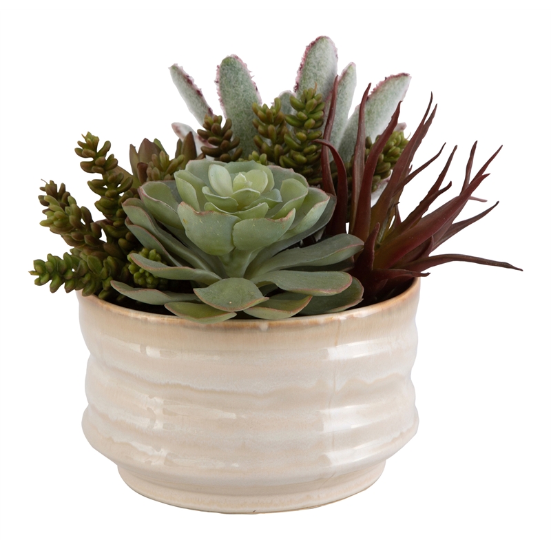 Uttermost Mesa Succulent Contemporary Ceramic Flower Pot in Tan/Green