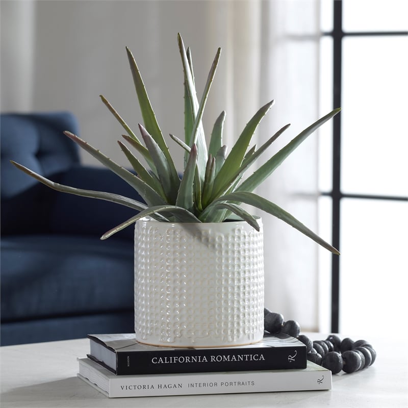 Uttermost Taos Coastal Ceramic Aloe Centerpiece in Ivory/Green