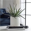 Uttermost Taos Coastal Ceramic Aloe Centerpiece in Ivory/Green