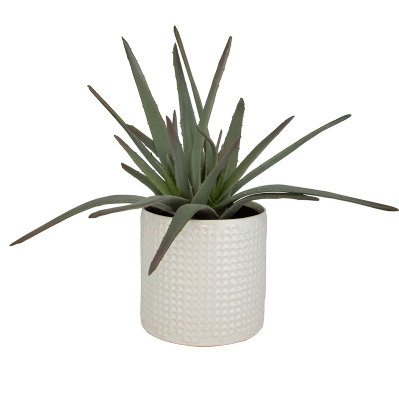 Uttermost Taos Coastal Ceramic Aloe Centerpiece in Ivory/Green