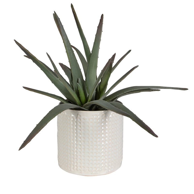 Uttermost Taos Coastal Ceramic Aloe Centerpiece in Ivory/Green