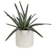 Uttermost Taos Coastal Ceramic Aloe Centerpiece in Ivory/Green