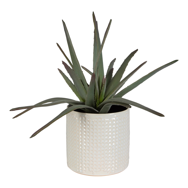 Uttermost Taos Coastal Ceramic Aloe Centerpiece in Ivory/Green