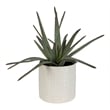 Uttermost Taos Coastal Ceramic Aloe Centerpiece in Ivory/Green