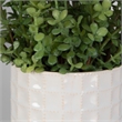 Uttermost Edgewood Coastal Ceramic/Plastic Flower Pot in White/Green (Set of 2)