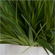 Uttermost Edgewood Coastal Ceramic/Plastic Flower Pot in White/Green (Set of 2)