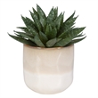 Uttermost Doha Coastal Ombre Glazed Ceramic/Plastic Flower Pot in Beige/Green