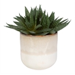 Uttermost Doha Coastal Ombre Glazed Ceramic/Plastic Flower Pot in Beige/Green