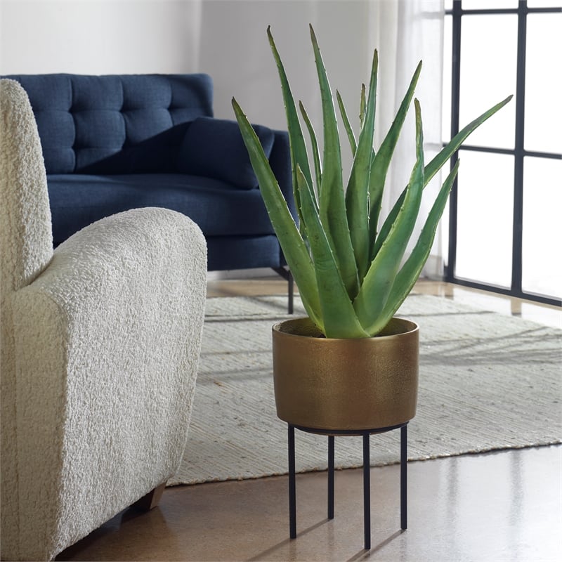 Uttermost Arabia Contemporary Aluminum/Cement Aloe Planter in Bronze/Black