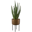 Uttermost Arabia Contemporary Aluminum/Cement Aloe Planter in Bronze/Black