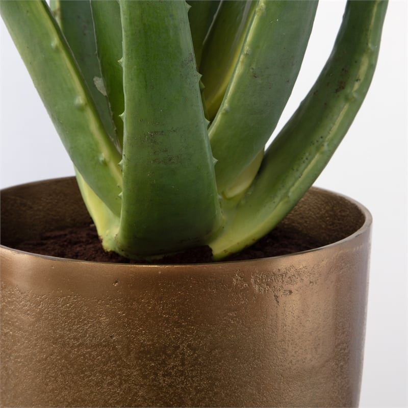 Uttermost Arabia Contemporary Aluminum/Cement Aloe Planter in Bronze/Black