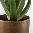Uttermost Arabia Contemporary Aluminum/Cement Aloe Planter in Bronze/Black