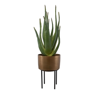 Uttermost Arabia Contemporary Aluminum/Cement Aloe Planter in Bronze/Black