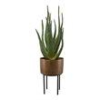 Uttermost Arabia Contemporary Aluminum/Cement Aloe Planter in Bronze/Black