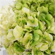 Uttermost Savannah Farmhouse Glass/Polyester Bouquet in Clear/Green/White