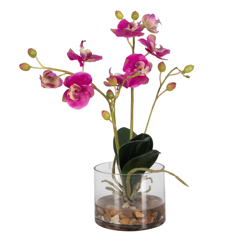 Uttermost Glory Orchid Contemporary Glass/Plastic Plant in Clear/Pink