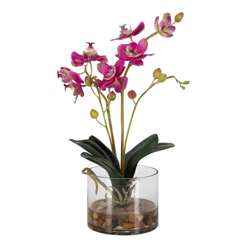 Uttermost Glory Orchid Contemporary Glass/Plastic Plant in Clear/Pink