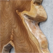 Uttermost Talia Wood Wall Decor in Teak (Set of 9)
