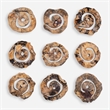 Uttermost Corkscrew Wood Wall Decor in Natural (Set of 9)