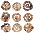 Uttermost Corkscrew Wood Wall Decor in Natural (Set of 9)