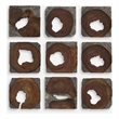 Uttermost Jungle Wood Paneled Wall Art in Coffee (Set of 9)