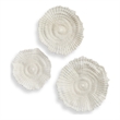 Uttermost Ocean Gems Coral Wall Decor in Ivory (Set of 3)