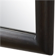 Uttermost Larkin Dark Wood & Antique Brass Mirror
