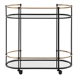 Uttermost Andre Iron Bar Cart in Black