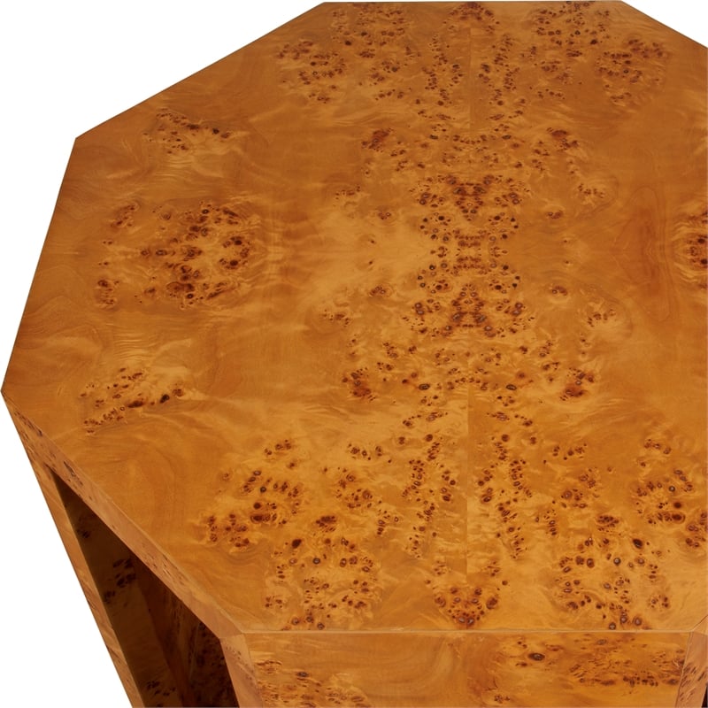 Uttermost Indus Burl Side Table in Brown