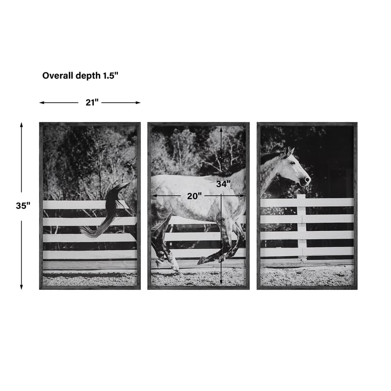 Uttermost Galloping Forward Equine Prints in Multi-Color (Set of 3)