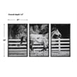 Uttermost Galloping Forward Equine Prints in Multi-Color (Set of 3)