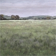 Uttermost Quiet Meadows Framed Prints in Multi-Color (Set of 4)