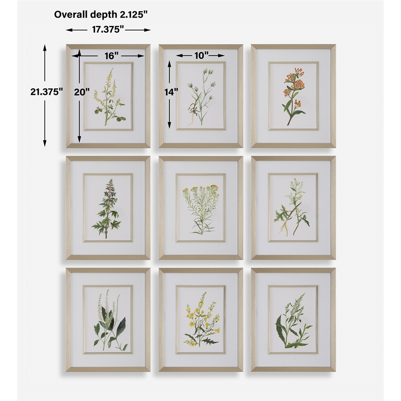 Uttermost Botanical Framed Prints in Champagne Frame/White Linen Mat (Set of 9)