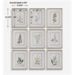 Uttermost Botanical Framed Prints in Champagne Frame/White Linen Mat (Set of 9)