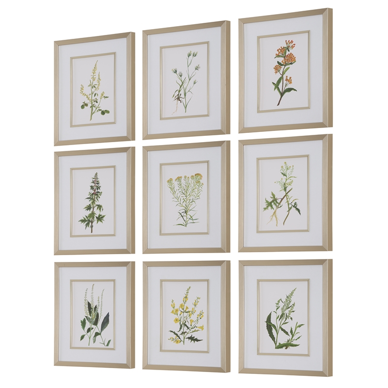 Uttermost Botanical Framed Prints in Champagne Frame/White Linen Mat (Set of 9)