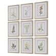 Uttermost Botanical Framed Prints in Champagne Frame/White Linen Mat (Set of 9)