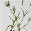 Uttermost Botanical Framed Prints in Champagne Frame/White Linen Mat (Set of 9)