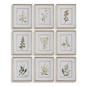 Uttermost Botanical Framed Prints in Champagne Frame/White Linen Mat (Set of 9)