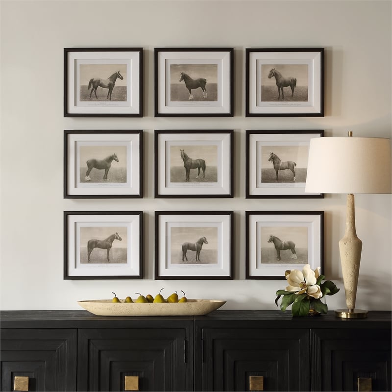 Uttermost Equine Dynasty Framed Prints in Multi-Color (Set of 9)