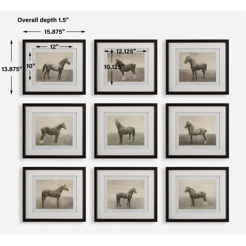 Uttermost Equine Dynasty Framed Prints in Multi-Color (Set of 9)