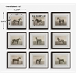 Uttermost Equine Dynasty Framed Prints in Multi-Color (Set of 9)