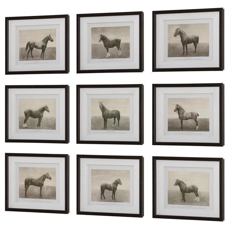 Uttermost Equine Dynasty Framed Prints in Multi-Color (Set of 9)
