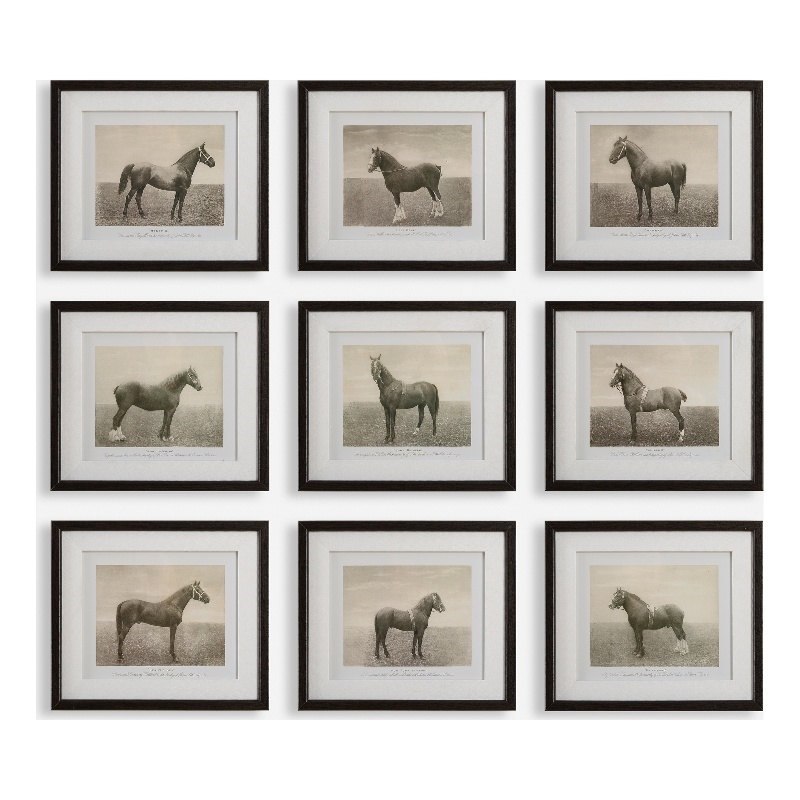 Uttermost Equine Dynasty Framed Prints in Multi-Color (Set of 9)
