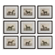 Uttermost Equine Dynasty Framed Prints in Multi-Color (Set of 9)